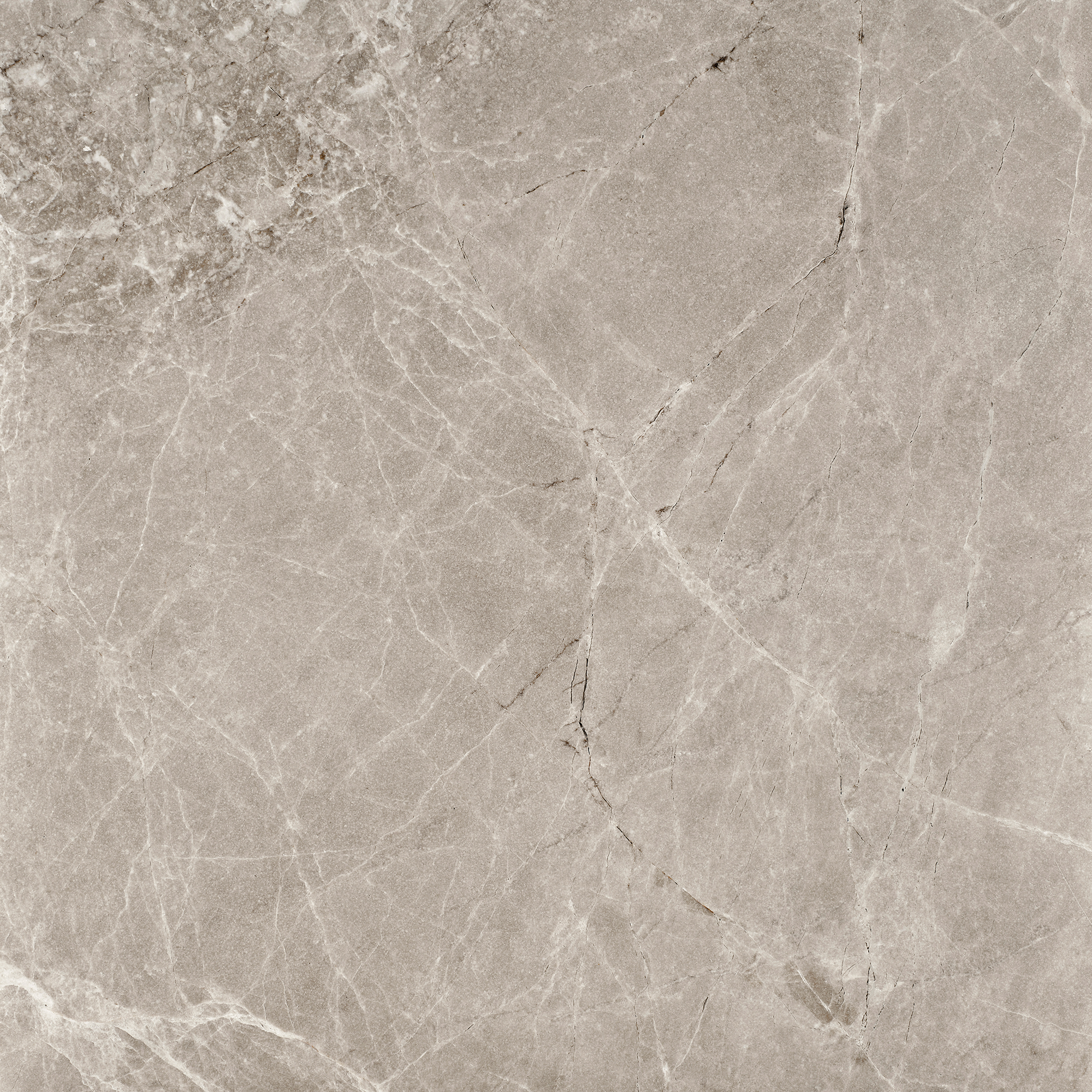 03-fancy-grey-spider