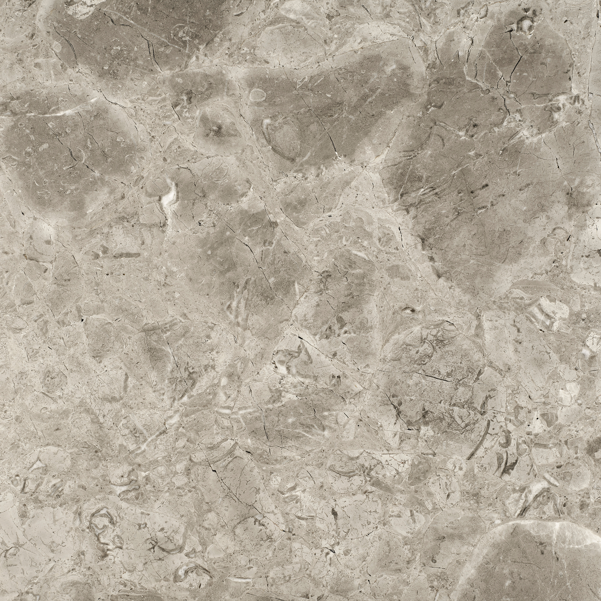 08-grigio-levanto-ac─▒k